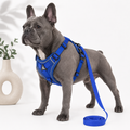 Reflective No-Pull Dog Harness & Leash Set
