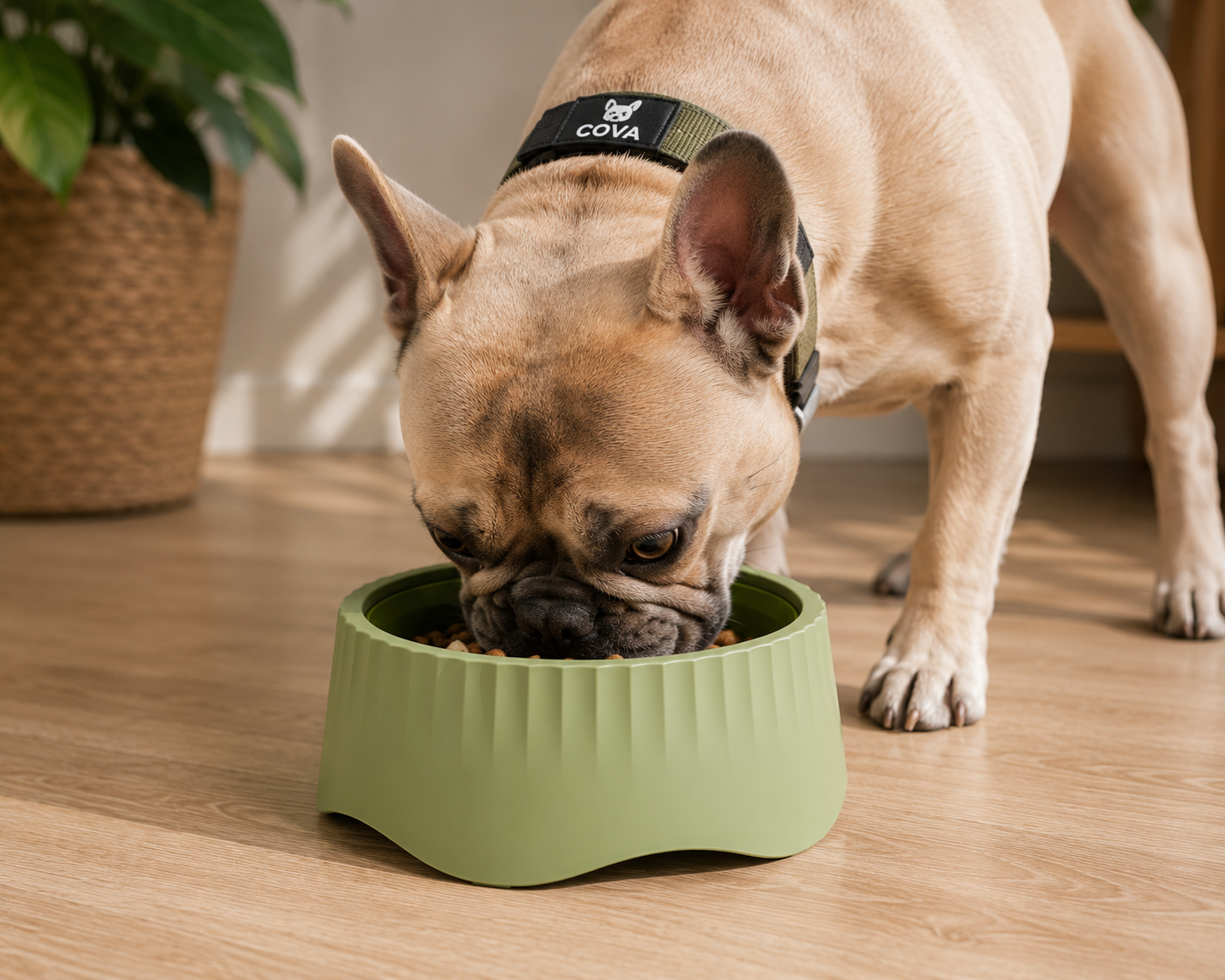 Cova™ 2-in-1 Slow Feeder Dog Bowl